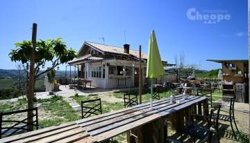 13.Tenuta Ornella.JPG